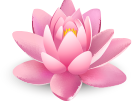 Svara Wellness Signature